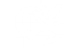 91看片网页免费版电缆
