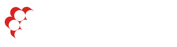 91看片网页免费版电缆